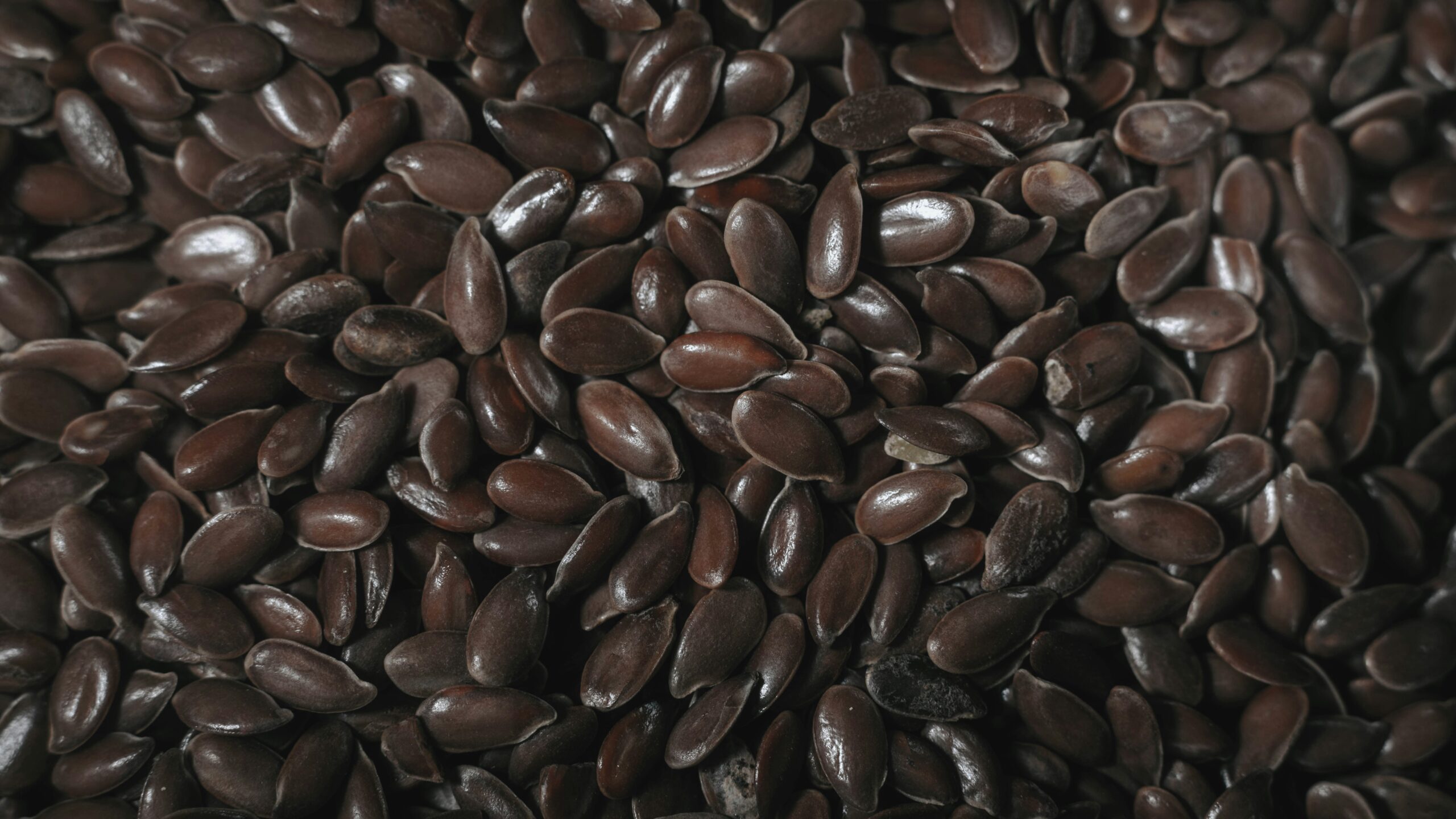 Close up of Marita coffee beans and powder focusing on texture and quality