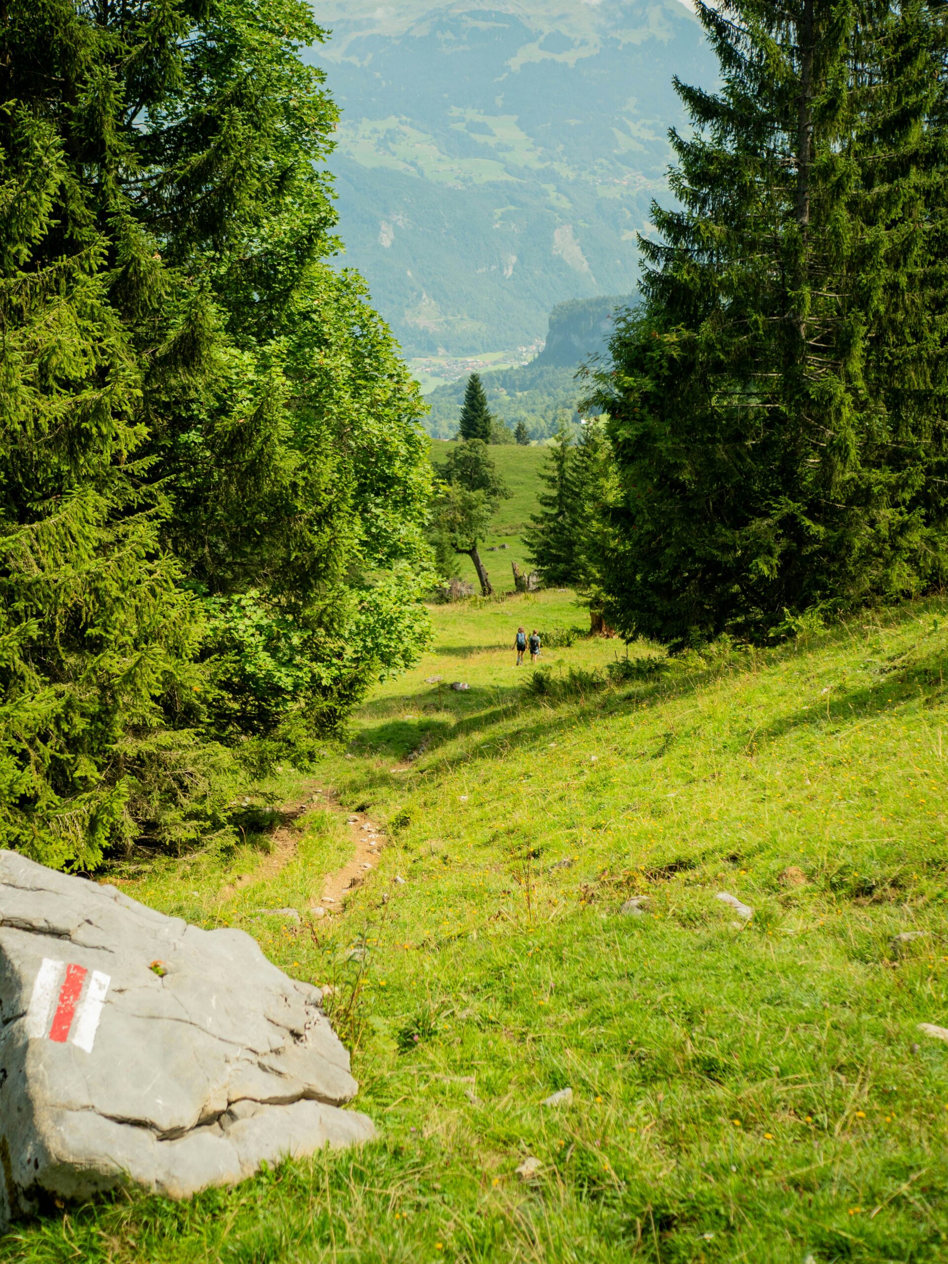 Woman enjoying a cup of tea outdoors in a Swiss landscape, smiling, looking relaxed