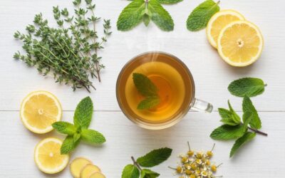 Tisane détox naturelle suisse en 2026 : guide complet