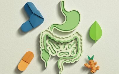 Les 8 meilleurs complséments alimentaires digestion en 2026