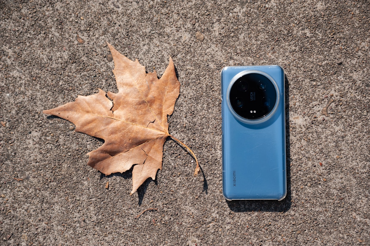 A blue smartphone rests beside a dry autumn leaf.