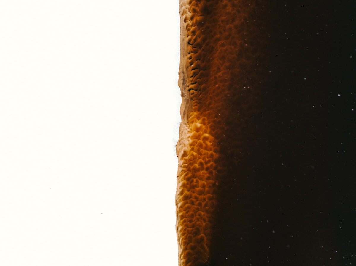 Close-up of bubbles in dark liquid against white